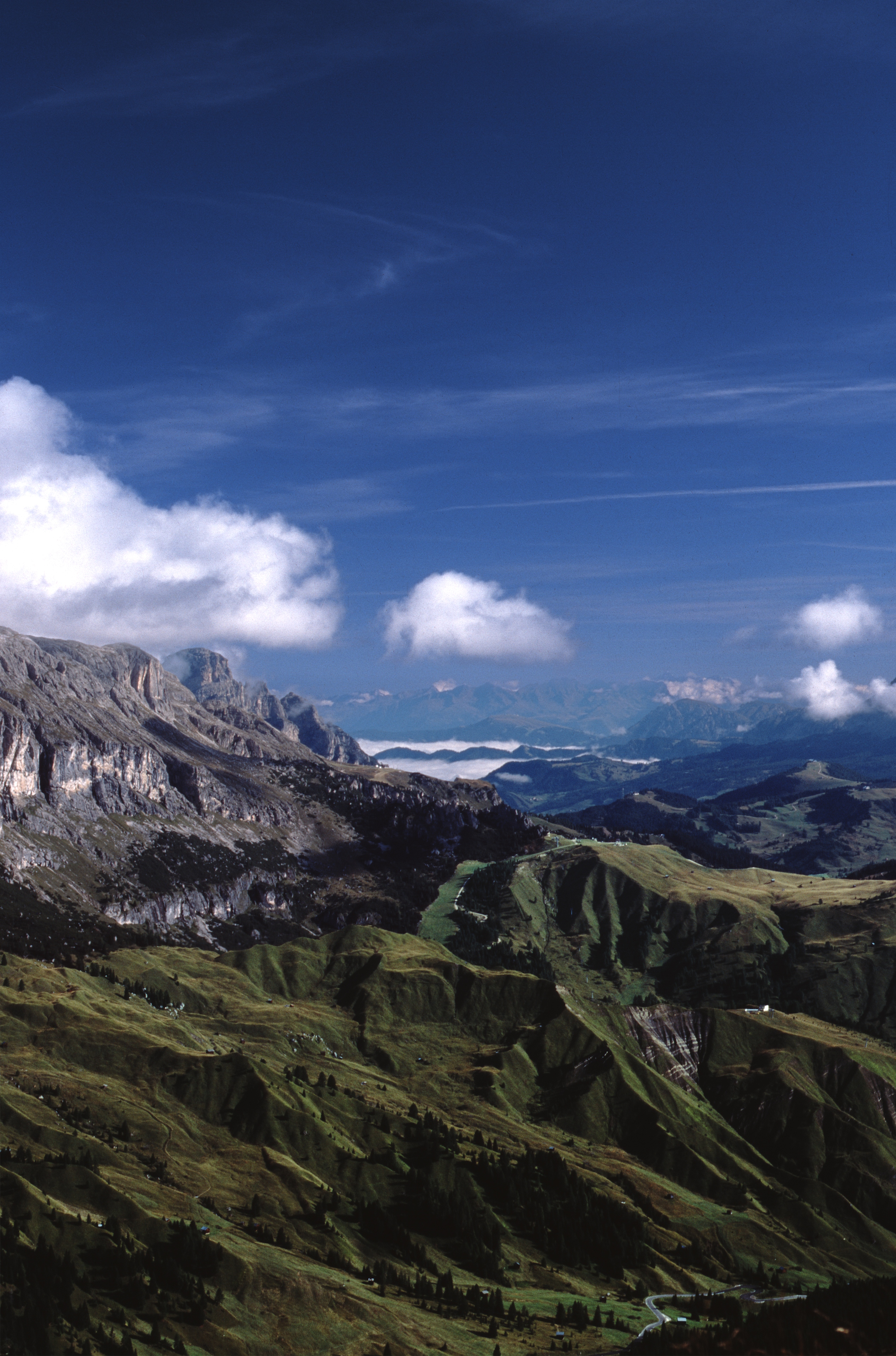 Sella 2005